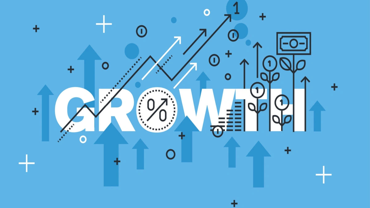 Growth Stock